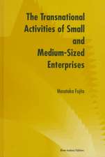 The Transnational Activities of Small and Medium-Sized Enterprises