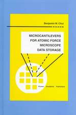 Microcantilevers for Atomic Force Microscope Data Storage