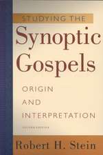 Studying the Synoptic Gospels: Origin and Interpretation