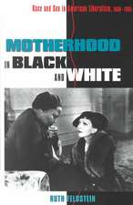 Motherhood in Black and White – Race and Sex in American Liberalism, 1930–1965