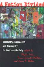 A Nation Divided – Diversity, Inequality, and Community in American Society