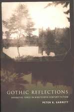 Gothic Reflections – Narrative Force in Nineteenth–Century Fiction