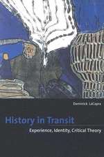 History in Transit – Experience, Identity, Critical Theory