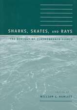 Sharks, Skates, and Rays