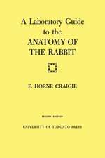 A Laboratory Guide to the Anatomy of the Rabbit