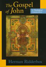 The Gospel of John: A Theological Commentary