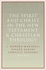 The Spirit and Christ in the New Testament and Christian Theology: Essays in Honor of Max Turner