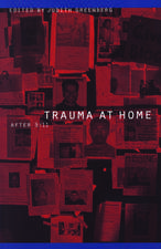 Trauma at Home: After 9/11