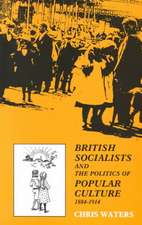 British Socialists and the Politics of Popular Culture, 1884-1914