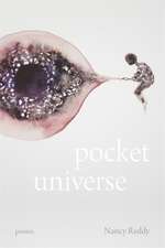 Pocket Universe