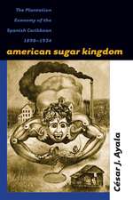 American Sugar Kingdom: The Plantation Economy of the Spanish Caribbean, 1898-1934