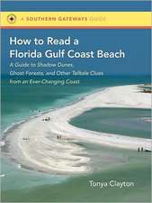 How to Read a Florida Gulf Coast Beach