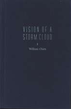 Vision of a Storm Cloud