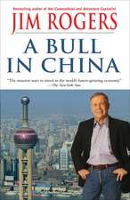 A Bull in China: Investing Profitably in the World's Greatest Market