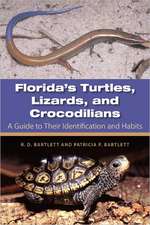 Florida's Turtles, Lizards, and Crocodilians: A Guide to Their Identification and Habits