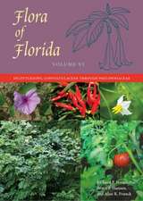 Flora of Florida, Volume VI