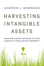 Harvesting Intangible Assets: Uncover Hidden Revenue in Your Company's Intellectual Property