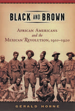 Black and Brown – African Americans and the Mexican Revolution, 1910–1920