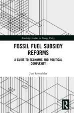 Fossil Fuel Subsidy Reforms: A Guide to Economic and Political Complexity