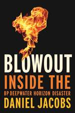 Blowout: The Inside Story of the BP Deepwater Horizon Oil Spill