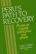 Peru's Path to Recovery: A Plan for Economic Stabilization and Growth