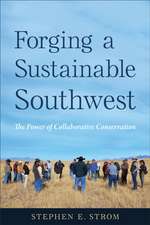 Forging a Sustainable Southwest