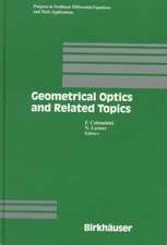 Geometrical Optics and Related Topics