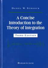 A Concise Introduction to the Theory of Integration