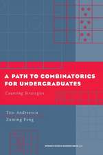 A Path to Combinatorics for Undergraduates: Counting Strategies