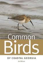 Common Birds of Coastal Georgia