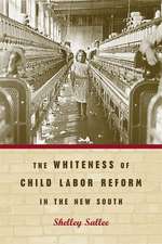 Sallee, S: The Whiteness of Child Labor Reform in the New S