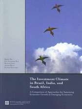 The Investment Climate in Brazil, India, and South Africa: A Comparison of Approaches for Sustaining Economic Growth in Emerging Economies