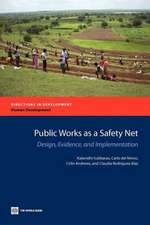 Public Works as a Safety Net: Design, Evidence, and Implementation