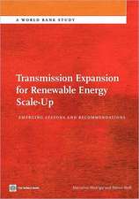 Transmission Expansion for Renewable Energy Scale-Up: Emerging Lessons and Recommendations