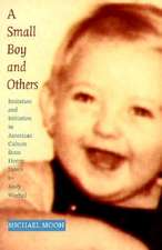 A Small Boy and Others – Imitation and Initiation in American Culture from Henry James to Andy Warhol