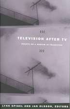 Television after TV – Essays on a Medium in Transition