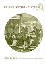 Bricks Without Straw