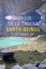 Earth Beings – Ecologies of Practice across Andean Worlds