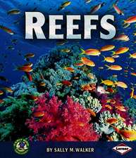 Reefs