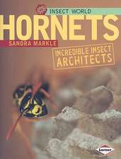 Hornets: Incredible Insect Architects