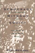 Democracy Without Equity