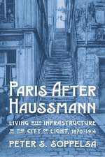 Paris After Haussmann