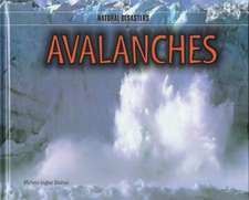 Avalanches