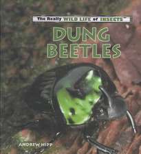 Dung Beetles