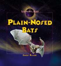 Plain-Nosed Bats