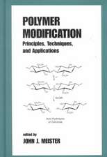 Polymer Modification: Principles, Techniques, and Applications