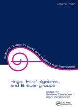 Rings, Hopf Algebras, and Brauer Groups