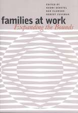 Families at Work: Expanding the Bounds