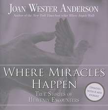 Where Miracles Happen: True Stories of Heavenly Encounters