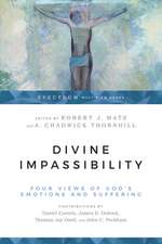 Divine Impassibility – Four Views of God`s Emotions and Suffering